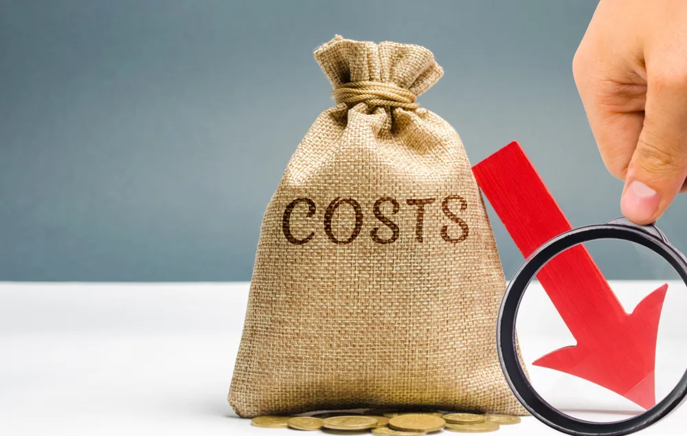 How to Reduce Expenses Through Government Assistance